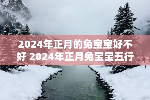 2025年正月的兔宝宝好不好 2025年正月兔宝宝五行缺什么