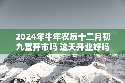 2025年蛇年农历十二月初九宜开市吗 这天开业好吗