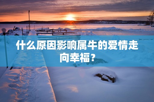 什么原因影响属牛的爱情走向幸福？