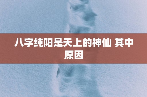 八字纯阳是天上的神仙 其中原因