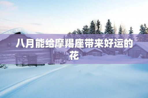 八月能给摩羯座带来好运的花