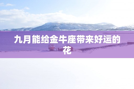 九月能给金牛座带来好运的花