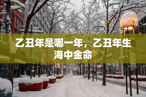 乙丑年是哪一年，乙丑年生海中金命