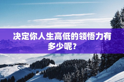 决定你人生高低的领悟力有多少呢？