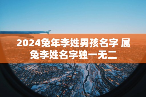 2025蛇年李姓男孩名字 属兔李姓名字独一无二