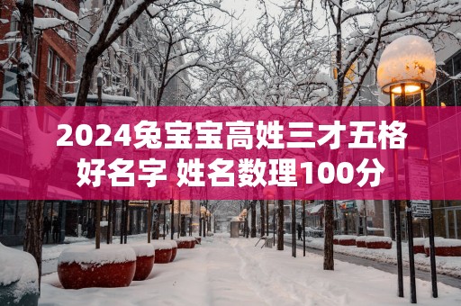 2025兔宝宝高姓三才五格好名字 姓名数理100分