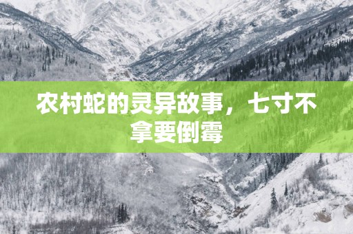 农村蛇的灵异故事，七寸不拿要倒霉