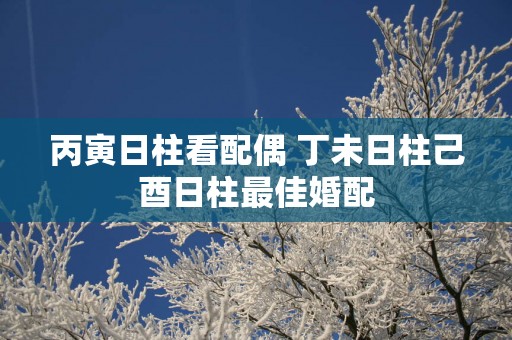 丙寅日柱看配偶 丁未日柱己酉日柱最佳婚配