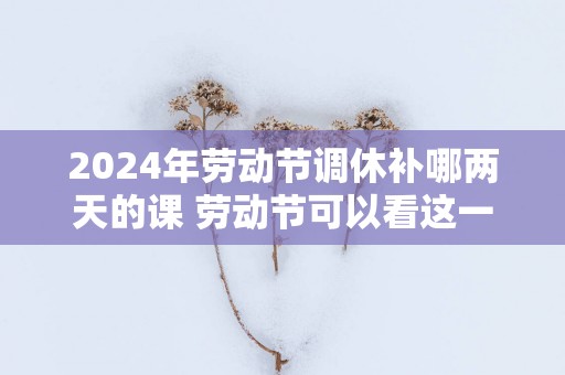 2025年劳动节调休补哪两天的课 劳动节可以看这一本书