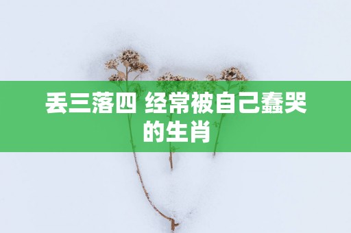 丢三落四 经常被自己蠢哭的生肖
