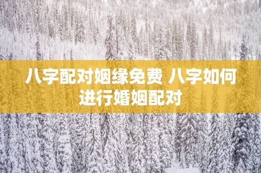 八字配对姻缘免费 八字如何进行婚姻配对