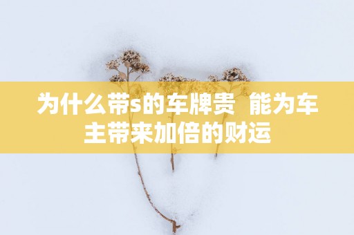 为什么带s的车牌贵  能为车主带来加倍的财运