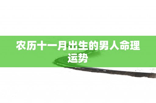 农历十一月出生的男人命理运势 农历十一月出生的男人命理运势