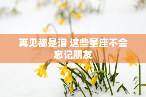 再见都是泪 这些星座不会忘记朋友