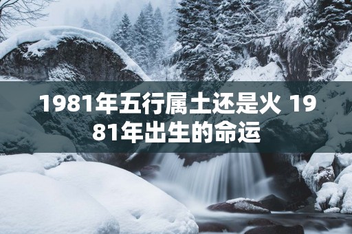 1981年五行属土还是火 1981年出生的命运