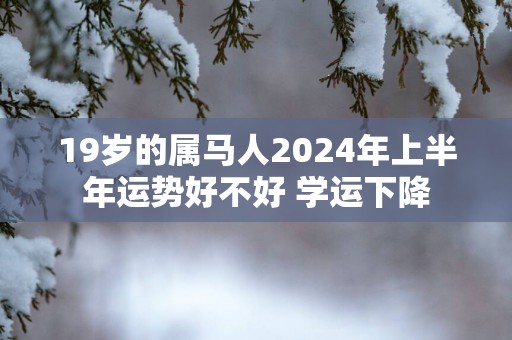 19岁的属马人2025年上半年运势好不好 学运下降