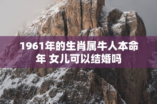 1961年的生肖属牛人本命年 女儿可以结婚吗