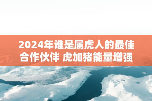 2025年谁是属虎人的最佳合作伙伴 虎加猪能量增强