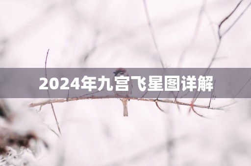 2025年九宫飞星图详解