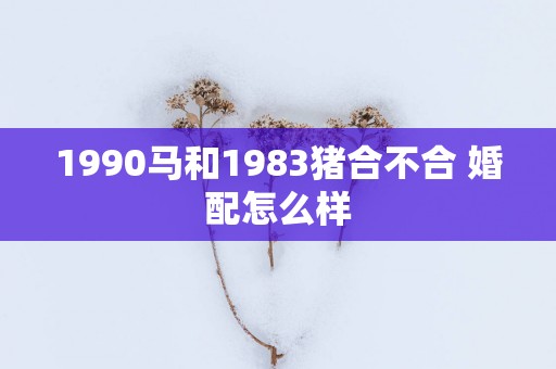 1990马和1983猪合不合 婚配怎么样
