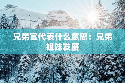 兄弟宫代表什么意思：兄弟姐妹发展