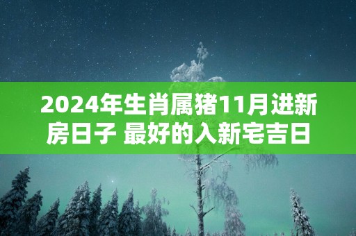 2025年生肖属猪11月进新房日子 最好的入新宅吉日