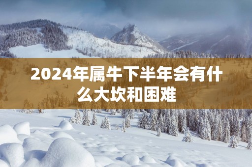 2025年属牛下半年会有什么大坎和困难