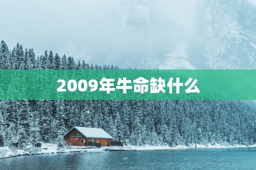 2009年牛命缺什么
