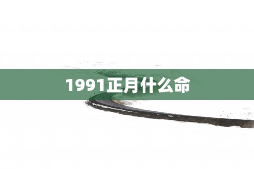 1991正月什么命