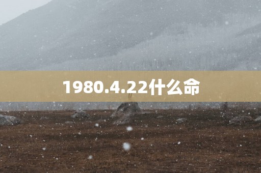 1980.4.22什么命
