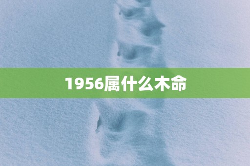 1956属什么木命
