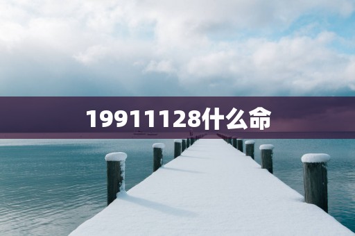 19911128什么命