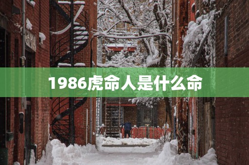 1986虎命人是什么命