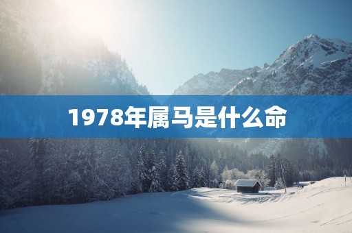 1978年属马是什么命