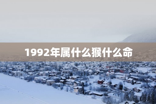 1992年属什么猴什么命 1992年属什么猴什么命