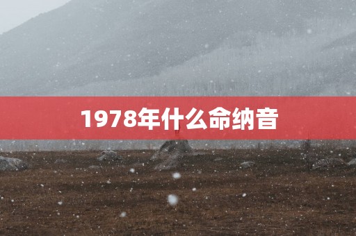 1978年什么命纳音
