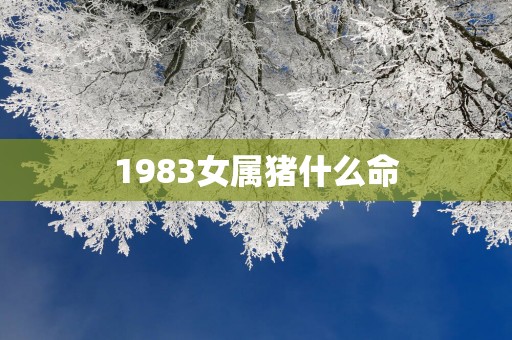 1983女属猪什么命