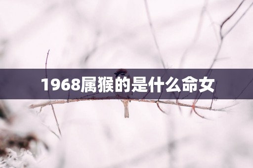 1968属猴的是什么命女