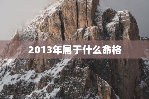 2013年属于什么命格