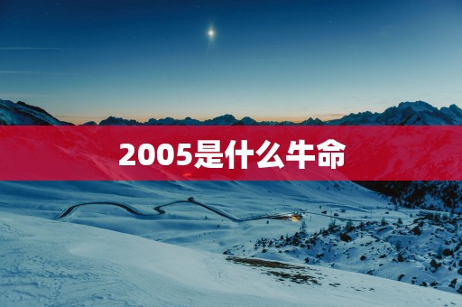 2005是什么牛命