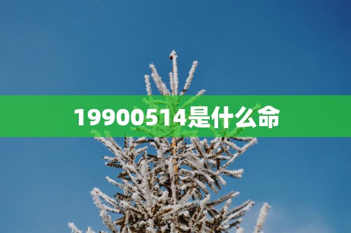19900514是什么命