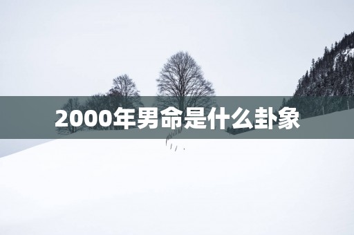 2000年男命是什么卦象