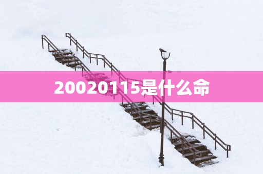 20020115是什么命