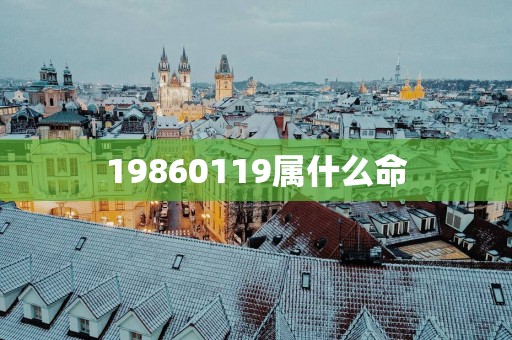 19860119属什么命