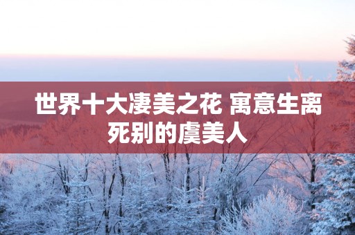 世界十大凄美之花 寓意生离死别的虞美人
