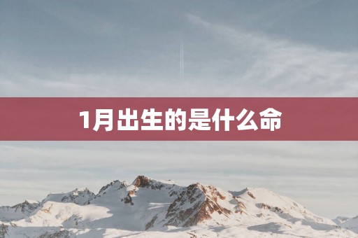 1月出生的是什么命