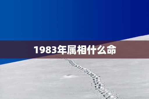 1983年属相什么命