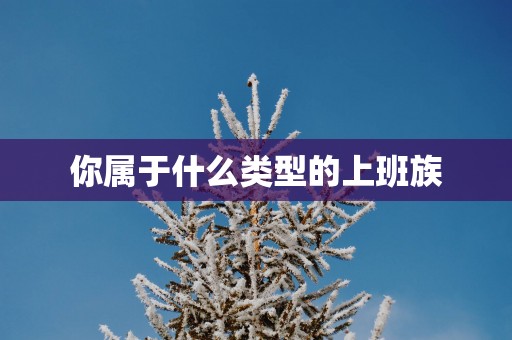 你属于什么类型的上班族