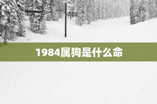 1984属狗是什么命