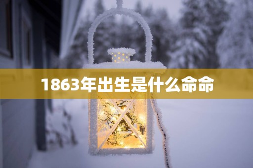 1863年出生是什么命命